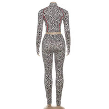 Load image into Gallery viewer, CheetahBody Set
